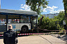 Появилось видео столкновения автобуса с деревом в Саратове